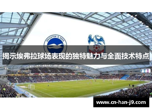 揭示埃弗拉球场表现的独特魅力与全面技术特点