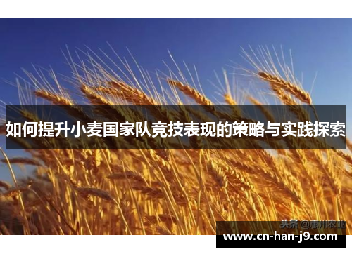 如何提升小麦国家队竞技表现的策略与实践探索
